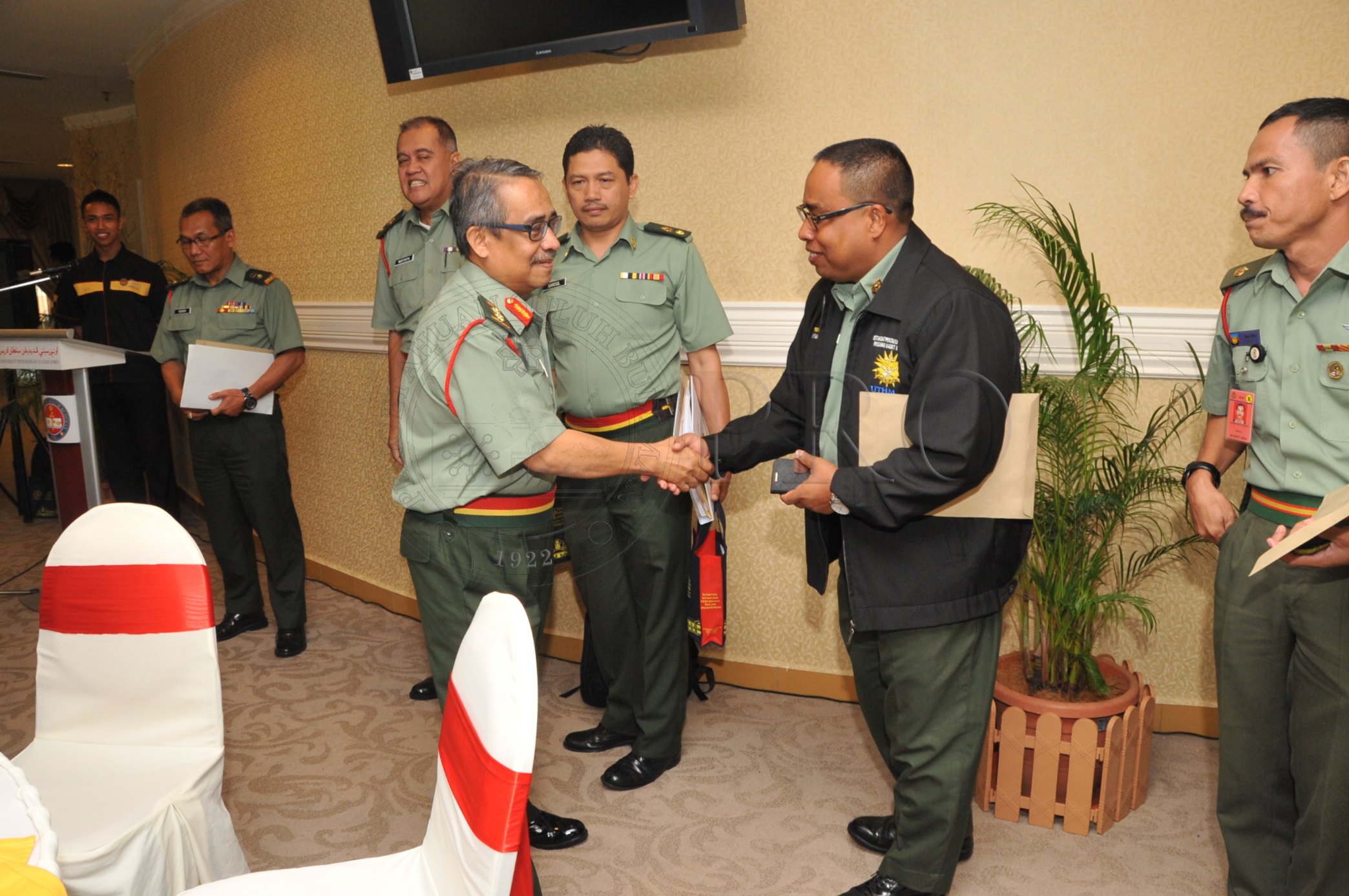 PRO 14 02 PALAPES PRO 2979